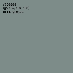 #7D8B89 - Blue Smoke Color Image